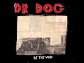 Dr Dog - Heavy Light 