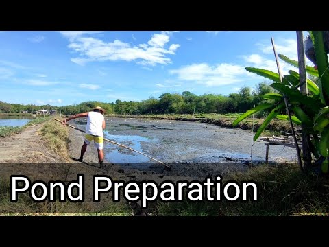 Pond Preparation | ACTUAL DEMO