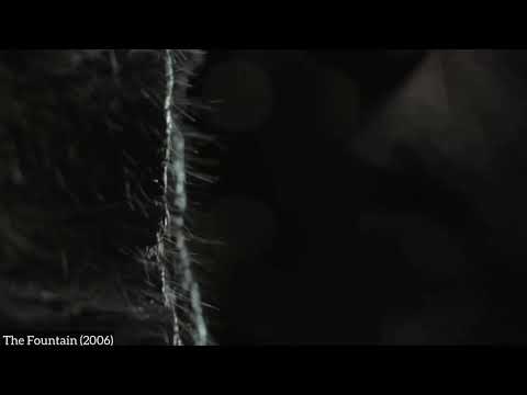 Extreme Close-up Shot