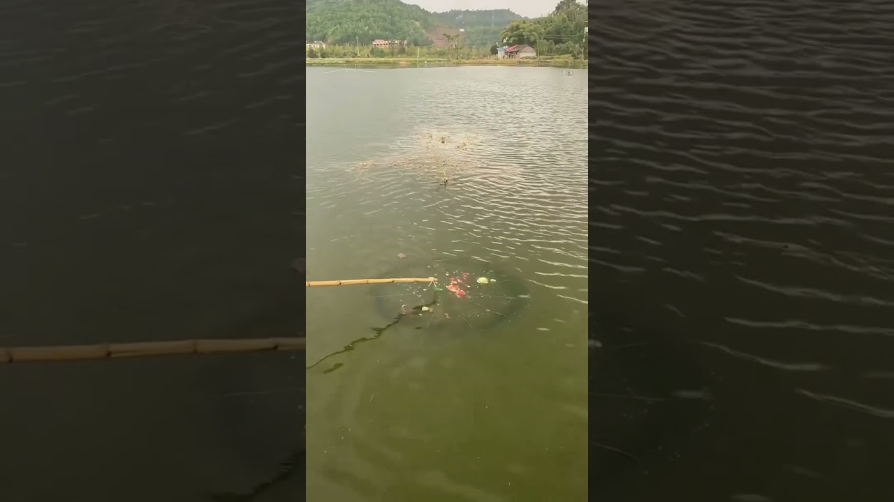 Does Watermelon Work as Fish Bait?