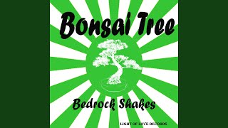 Bonsai Tree Music Video