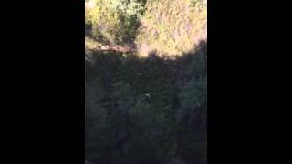 Adina Porter Jensen Hanging Garden Swing