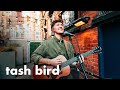 TASH BIRD - only when i'm drunk