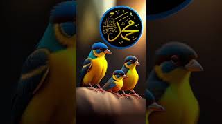 Download lagu https://pin.it/4HJwX2W1 mp3 Download lagu https://pin.it/4HJwX2W1 mp3