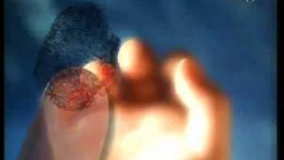 One miracle of these Miracles is enough to make you embrace Islam - Pharaoh's Body - Iron - Number 7 - Developmental Stage...