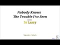 Nobody knows the trouble I've seen, cover by ...