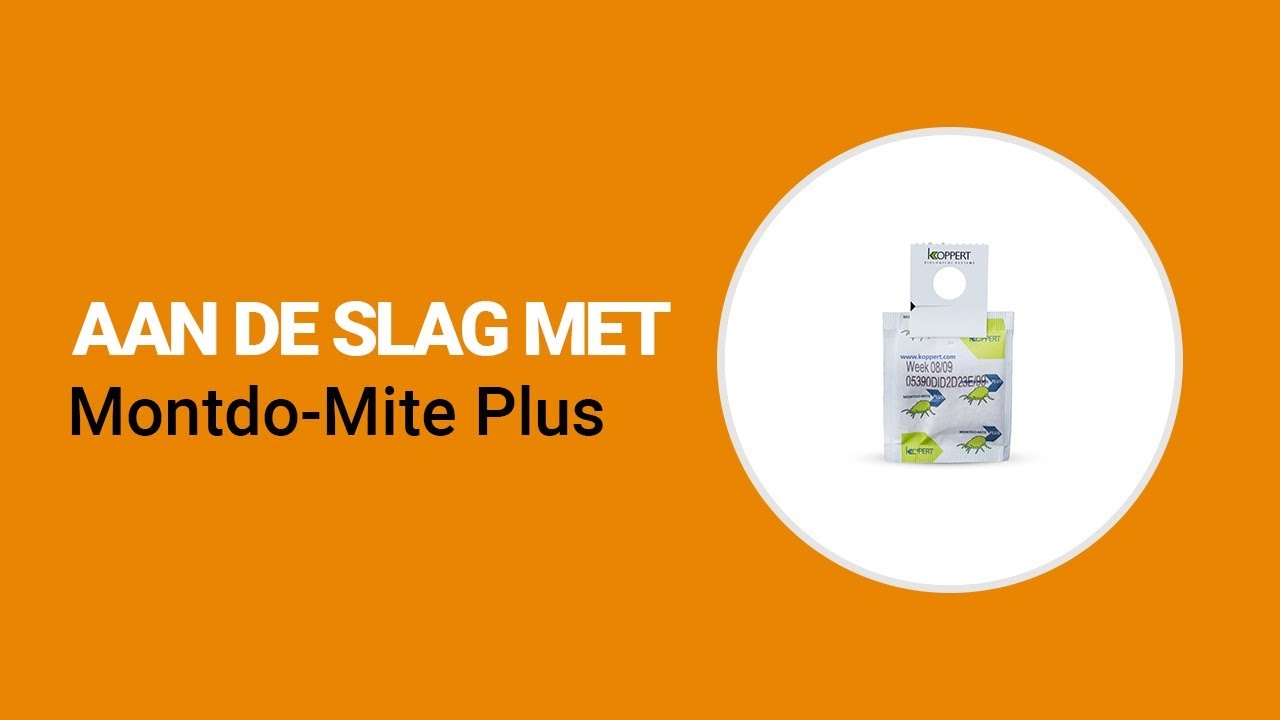 Video preview poster