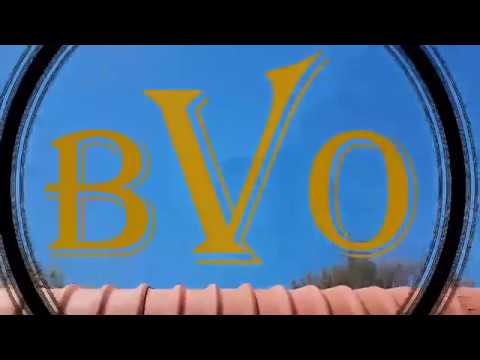 BVO Music Official video