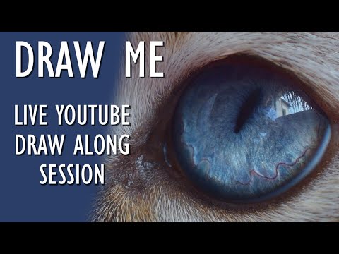 Learn To Draw a Cat's Eye in COLORED PENCIL | LIVE SESSION