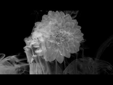 JLEON - Potions & Petals - Music Video