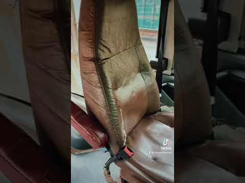 New Bus on the Block