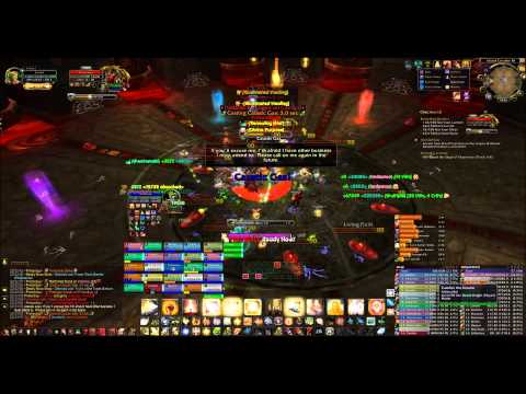 Adrenaline Vs Primordius 25 Normal - Holy Pally PoV
