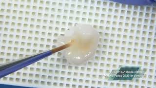 GC Indirect Restorative Solutions - Painting with GC Initial® LiSi Block