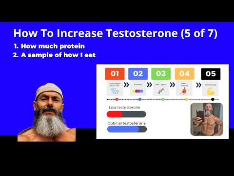 How To Increase Testosterone Naturally (5 of 7)