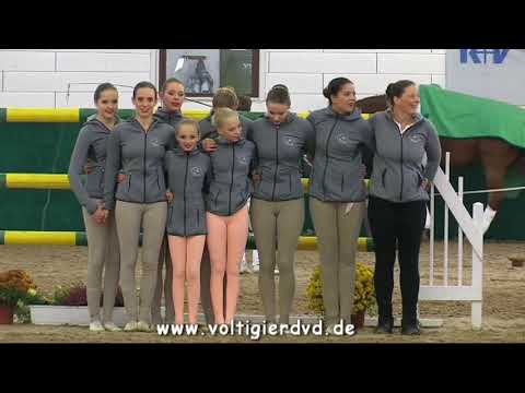 RFV Lohne - M-Gruppen 03 - DVP Zweibrücken 2016