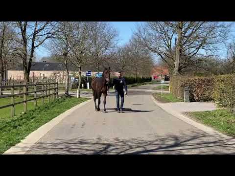 Skyliner 5: Satisfaction x Quidam de Revel