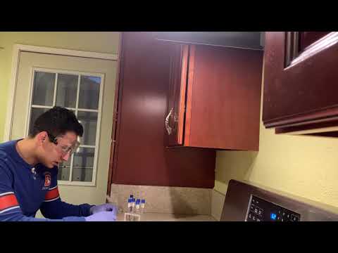 Lab Exercise | Environmental Influences on Microbial Growth: Salt Tolerance Testing