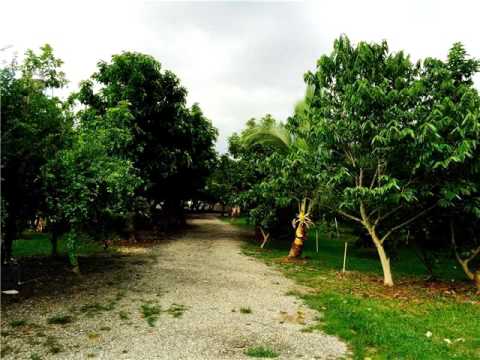 16450 SW 173 AV,Miami,FL 33187 House For Sale