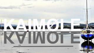 KAIMOLE- "Dark" (Seasick Steve remix)