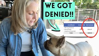 Pet Insurance Claim DENIED and How I Got Reimbursed