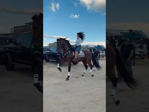 Desfile Hípico del Progreso Jutiapa 2025. La previa #caballos #horses #cavalos #caballosbailadores