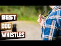 Best Dog Whistle In 2025 Top 10 Dog Whistles Review
