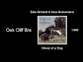 Edie Brickell & New Bohemians - Oak Cliff Bra - Ghost of a Dog [1990]