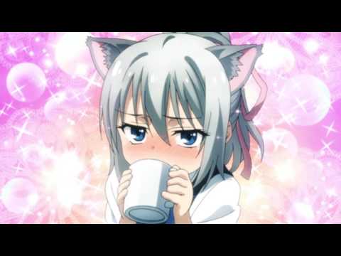 🌙Night Tempo🌙 x Tomggg - 好き？Suki！