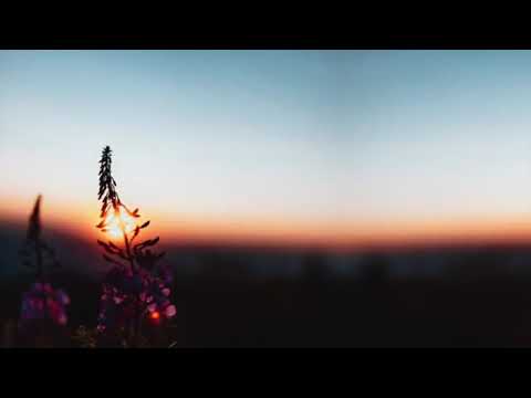 Max Oazo- So It Goes (feat. Moonessa) (Official Video)