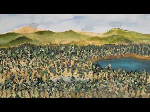 Šumska straža - Sječa šuma