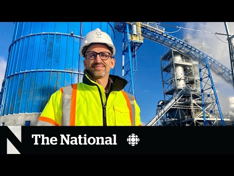 Bioenergy centre turns leftover wood into electricity