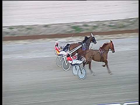 Trotto 02/03/2018 - prova di qualifica