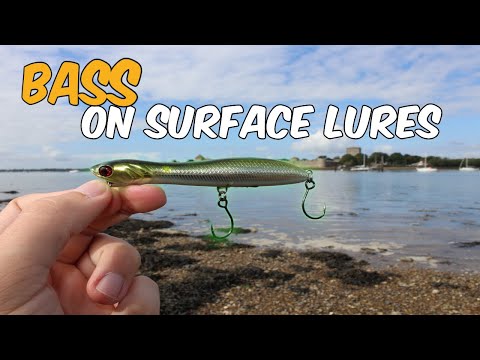 Lure fishing for Bass! (Portsmouth Harbour, UK)