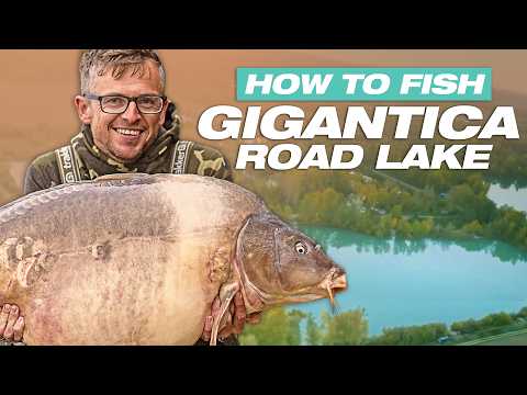 How To Fish Gigantica Road Lake | Korda