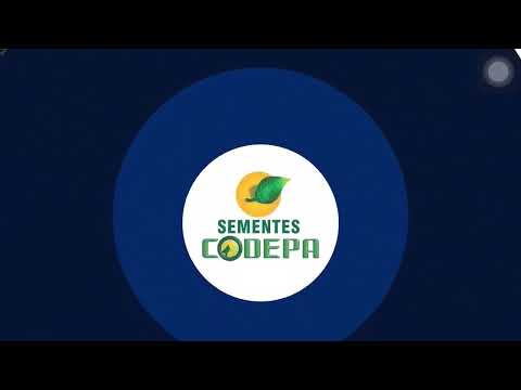 Goleiro Lucas Santos - MEC Mangueirinha x APAF Paranaguá - série prata 2022