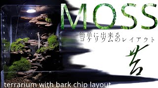奇岩！レイアウトのコツ【コケリウムの作り方】