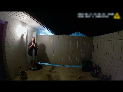 THE PERFECT NEIGHBOR Westdoc interviews the director of this Netflix documentary.