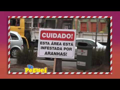 LOS MEJORES SUSTOS 2016