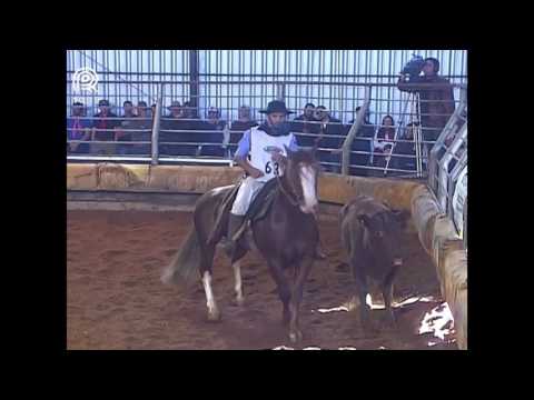 Chapecó – 8° lugar machos – Avatar dos Castanheiros