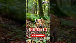 🪦 Grabarz z PiS: kim jest starosta Laskus