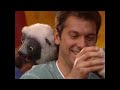 Zoboomafoo S02E16 Grow Zoboo Grow