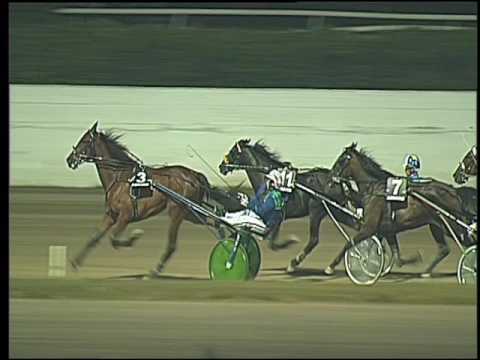 Trotto 02/07/2016 - 3° corsa