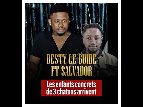 Besty le guide feat salvador - les enfants concrets de Abobo 3 chatons arrivent