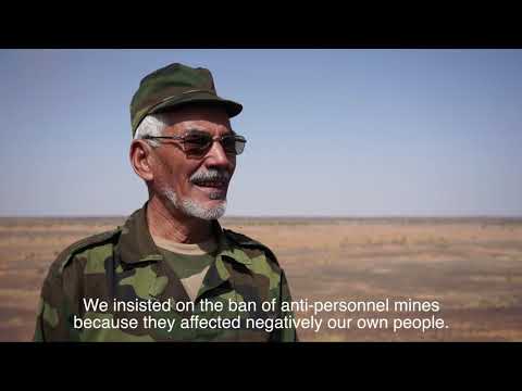 National Liberation Front (NLF)/Polisario video 2