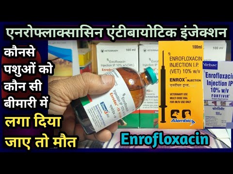 Enrofloxacin Injection I.p., Packaging Type: Bottle, Packaging Size: 100 ml