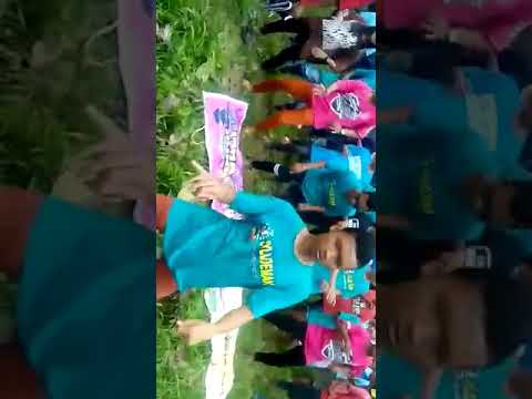 New pallapa live tompe gunung berhenti karena tawuran