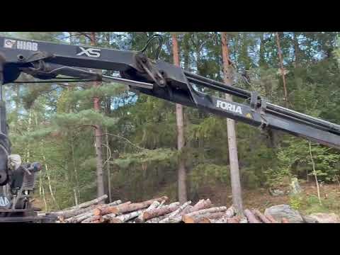 Videoklipp