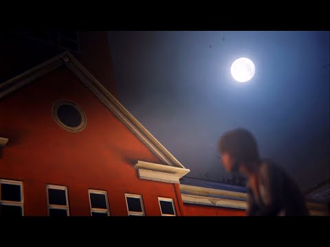 Life Is Strange (John Maus - Night Of The World)