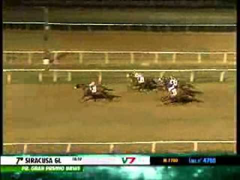 08/12/2013, Siracusa , Premio Gran Premio Unire C.naz