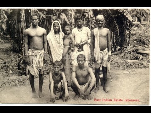 jamaica caribbean west indians indian east history native arawak tribes come trinidad india africans did indies slaves american african south